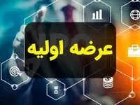 همه چیز درباره عرضه اولیه تادیکو + معرفی نماد تادیکو