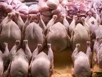 قیمت مرغ و سینه مرغ در بازار چقدر است؟ + جدول