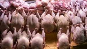 قیمت مرغ و سینه مرغ در بازار چقدر است؟ + جدول