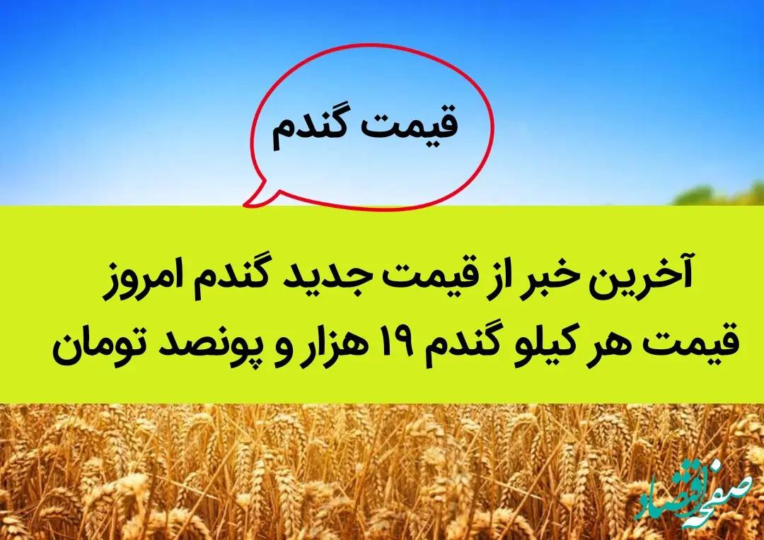 آخرین خبر از قیمت جدید گندم امروز ۲۳ شهریور ۱۴۰۲ | قیمت هر کیلو گندم ۱۹ هزار و پونصد تومان تعیین شد