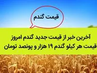 آخرین خبر از قیمت جدید گندم امروز ۲۳ شهریور ۱۴۰۲ | قیمت هر کیلو گندم ۱۹ هزار و پونصد تومان تعیین شد