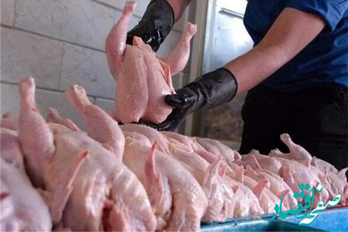 چه خبر از قیمت گوشت مرغ در روزهای پایانی شهریور ۱۴۰۲ | مرغ کیلویی چند؟ + جدول