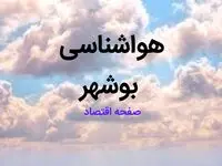 پیش بینی وضعیت آب و هوا بوشهر فردا ۱۰ اسفند ۱۴۰۳ | اخبار هواشناسی بوشهر طی ۲۴ ساعت آینده