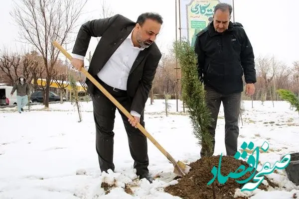 غرس نهال از سوی مدیرعامل شاراک