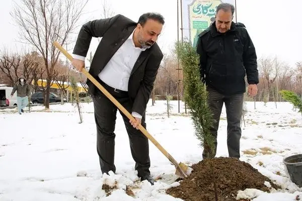 غرس نهال از سوی مدیرعامل شاراک