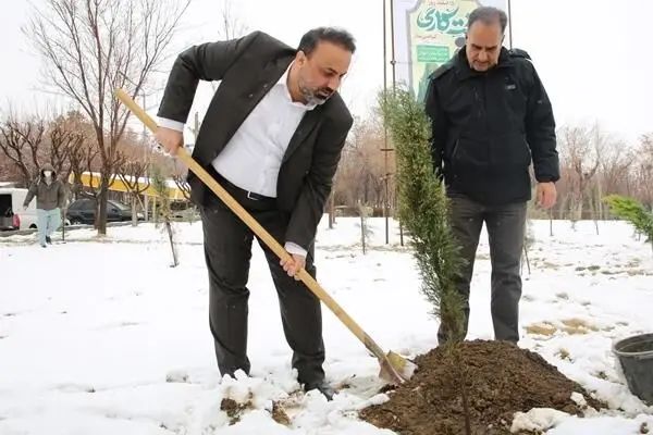 غرس نهال از سوی مدیرعامل شاراک