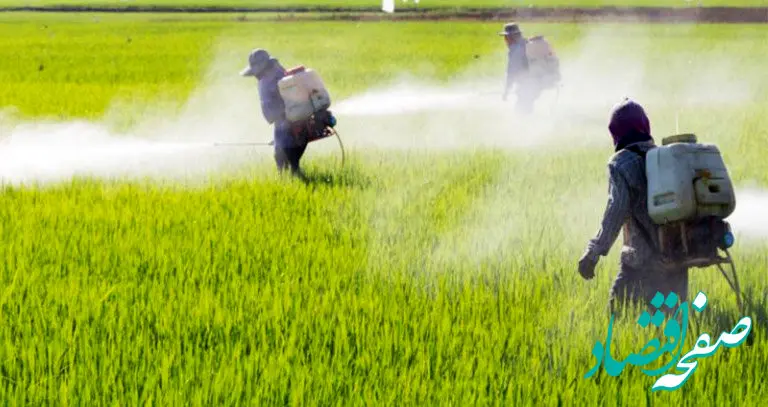 با علم به خطر!/چرا کشاورزان همچنان کود شیمیایی استفاده می‌کنند؟