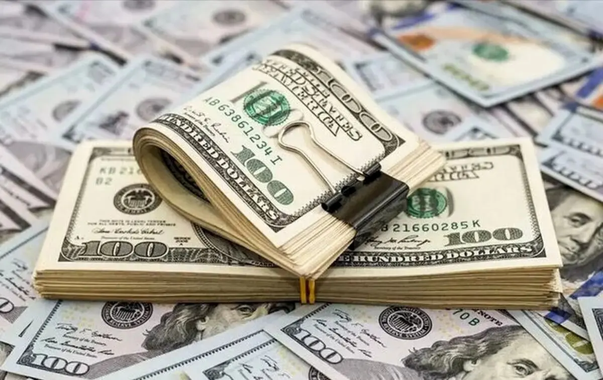 دولت عمدی قیمت دلار و سکه را گران کرد؟ | دولت برای درآمد زایی دلار و سکه را بالا برد؟!