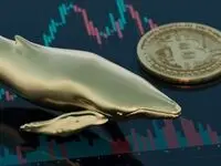 بررسی بازار آلت‌کوین‌ها در هفته سوم آوریل/ نهنگ‌ها چه ارزهایی خرید و فروش کردند؟