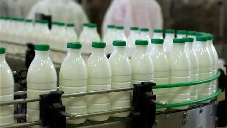 قیمت‌های جدید لبنیات ابلاغ شد: شیر خام کیلویی ۲۹ هزار و ۵۰۰ تومان تعیین شد