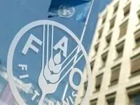 قیمت جهانی غذا در یک ماهه جنگ آمریکا علیه ایران چند درصد رشد کرد؟ 