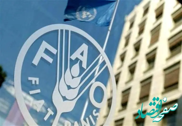 قیمت جهانی غذا در یک ماهه جنگ آمریکا علیه ایران چند درصد رشد کرد؟ 