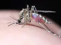 حرف این روحانی معروف درباره تب دنگی حسابی جنجال به پا کرد