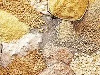 جدیدترین قیمت نهاده‌های دامی و محصولات کشاورزی تا ۲۱ مهر ۱۴۰۴