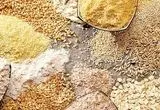 جدیدترین قیمت نهاده‌های دامی و محصولات کشاورزی تا ۲۱ مهر ۱۴۰۴