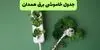 برنامه قطعی برق همدان فردا سه شنبه ۱۰ شهریور اعلام شد + لینک