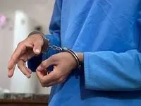 متهم یک پرونده کثیرالشاکی در شیراز دستگیر شد + جزئیات