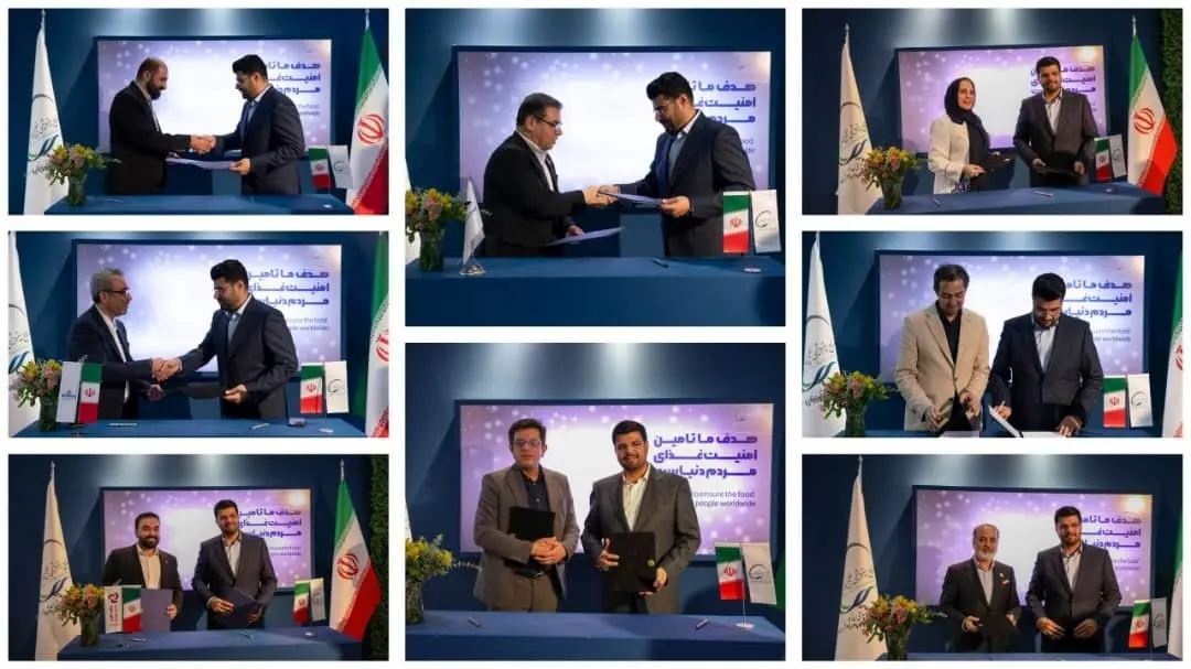 پتروشیمی هنگام، ۹ تفاهمنامه همکاری با شرکتهای ایرانی در پتروکم امضا کرد