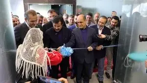 افتتاح و آغاز عملیات اجرایی 46 طرح سرمایه گذاری و زیرساختی با ارزش 1890میلیارد تومان و اشتغالزایی مستقیم 199 نفر