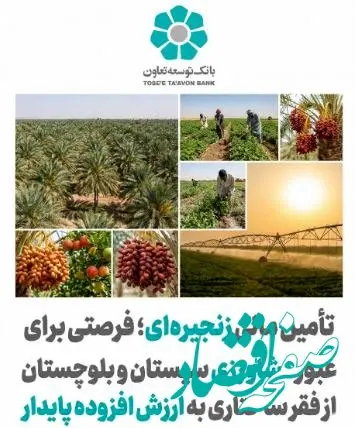 تأمین مالی زنجیره ای؛ فرصتی برای عبور کشاورزی سیستان و بلوچستان از فقر ساختاری به ارزش افزوده پایدار