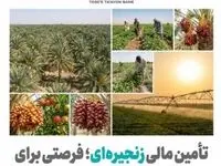 تأمین مالی زنجیره ای؛ فرصتی برای عبور کشاورزی سیستان و بلوچستان از فقر ساختاری به ارزش افزوده پایدار