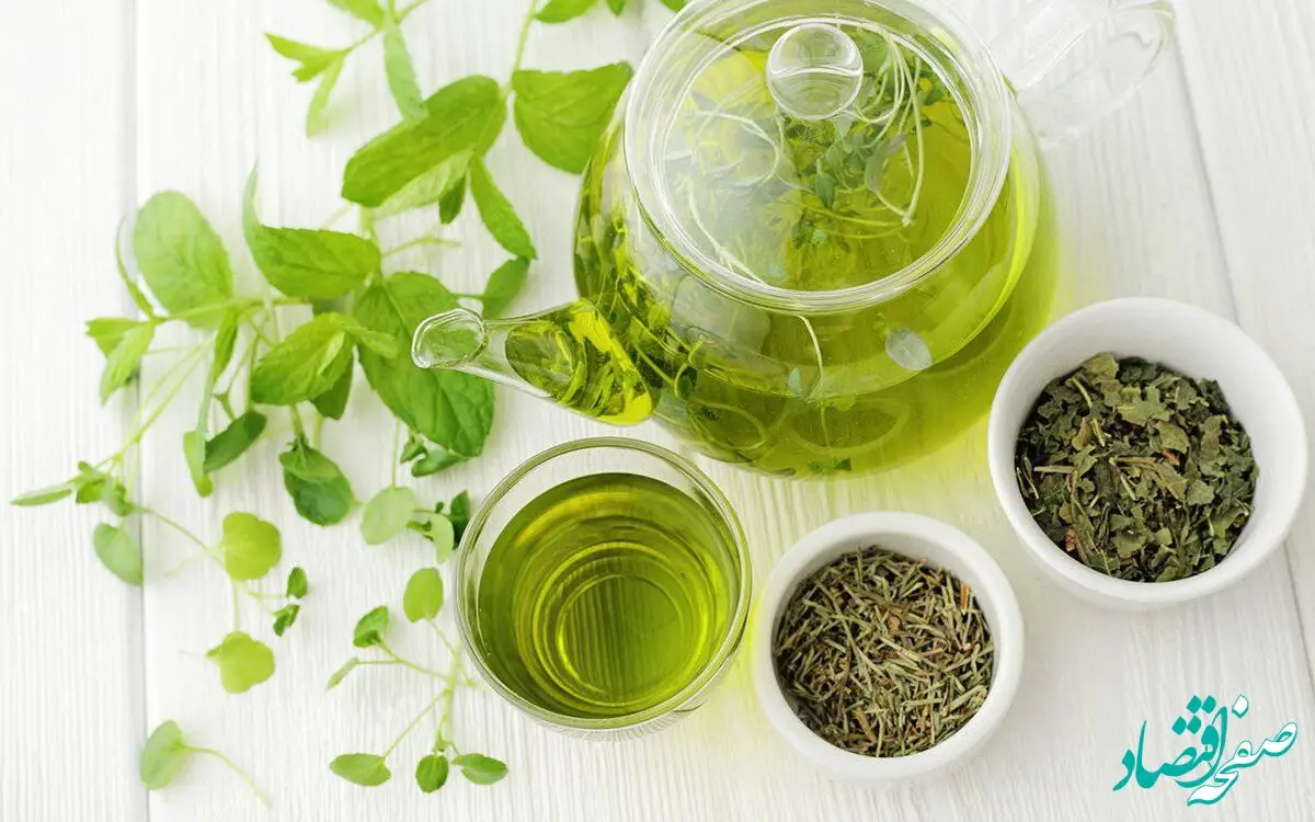 عادت های روزانه موفق