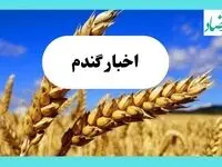 آخرین خبر از پرداخت مطالبات گندمکاران امروز یکشنبه ۶ مهر ماه ۱۴۰۴ | گندمکاران بخوانند