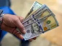 علت مقاومت برخی کالا‌ها در برابر کاهش نرخ ارز چیست؟