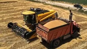 زمان دور بعدی پرداخت مطالبات گندمکاران اعلام شد