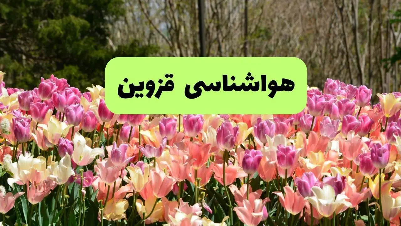 پیش بینی وضعیت آب و هوا قزوین فردا سه شنبه ۲۸ بهمن ۱۴۰۴ + هواشناسی قزوین