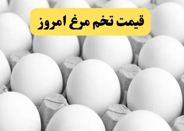 اعلام جدیدترین قیمت تخم مرغ امروز دوشنبه ۲۹ اردیبهشت ۱۴۰۴ | هر دانه تخم‌مرغ چند شد؟