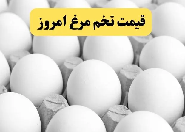 قیمت تخم مرغ شانه ای چند؟