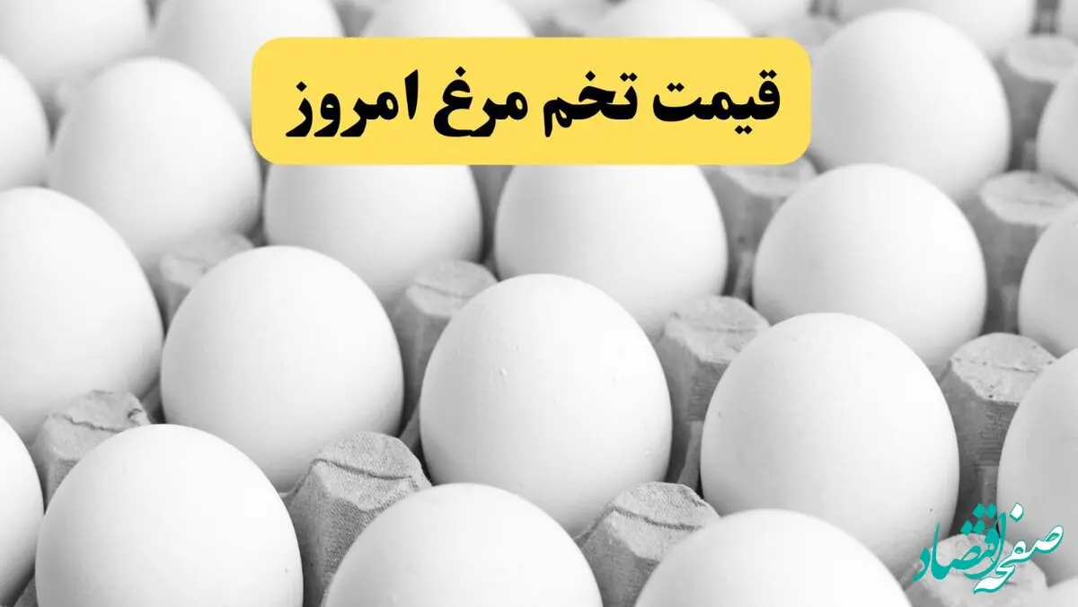 قیمت تخم‌مرغ امروز یکشنبه ۱۲ بهمن ۱۴۰۴