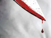اعتراف قاتل: با دستانم گلوی همسرم را فشردم، فقط می‌خواستم اعتراف کند!