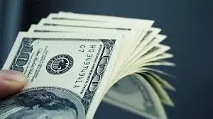 قیمت دلار نیمایی امروز چهارشنبه ۱۹ دی ۱۴۰۳ / آخرین نرخ دلار نیمایی 