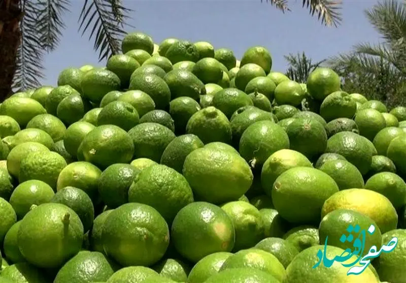 لیموترش، سیب و خربزه بیشترین افزایش قیمت را تجربه کردند