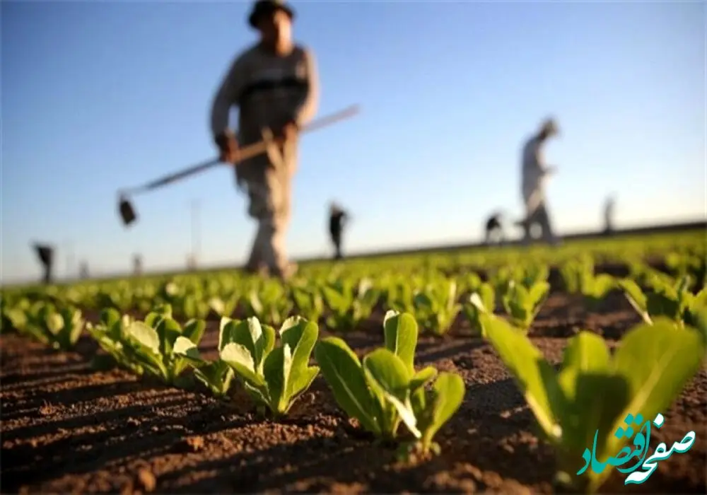 لزوم ایجاد انگیزه‌های اقتصادی برای کشاورزان در تغییر الگوی کشت