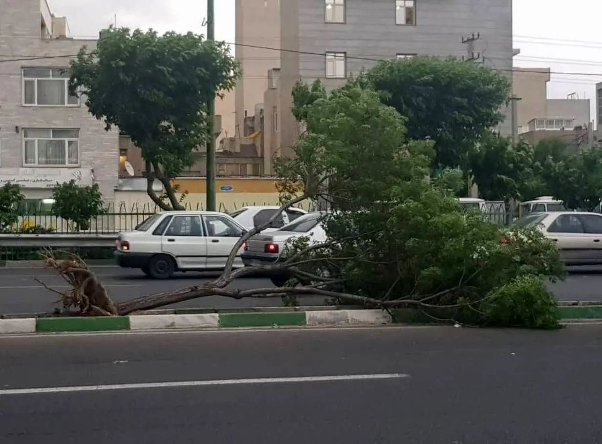 هشدار خیلی فوری؛ وقوع توفان تندری شدید در تهران و البرز 