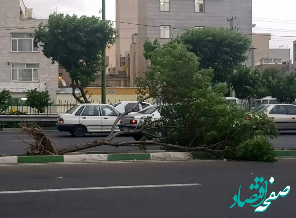 هشدار خیلی فوری؛ وقوع توفان تندری شدید در تهران و البرز