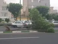 هشدار خیلی فوری؛ وقوع توفان تندری شدید در تهران و البرز 