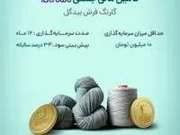آغاز پویش تامین مالی جمعی شرکت«گلرنگ فرش بیدگل»