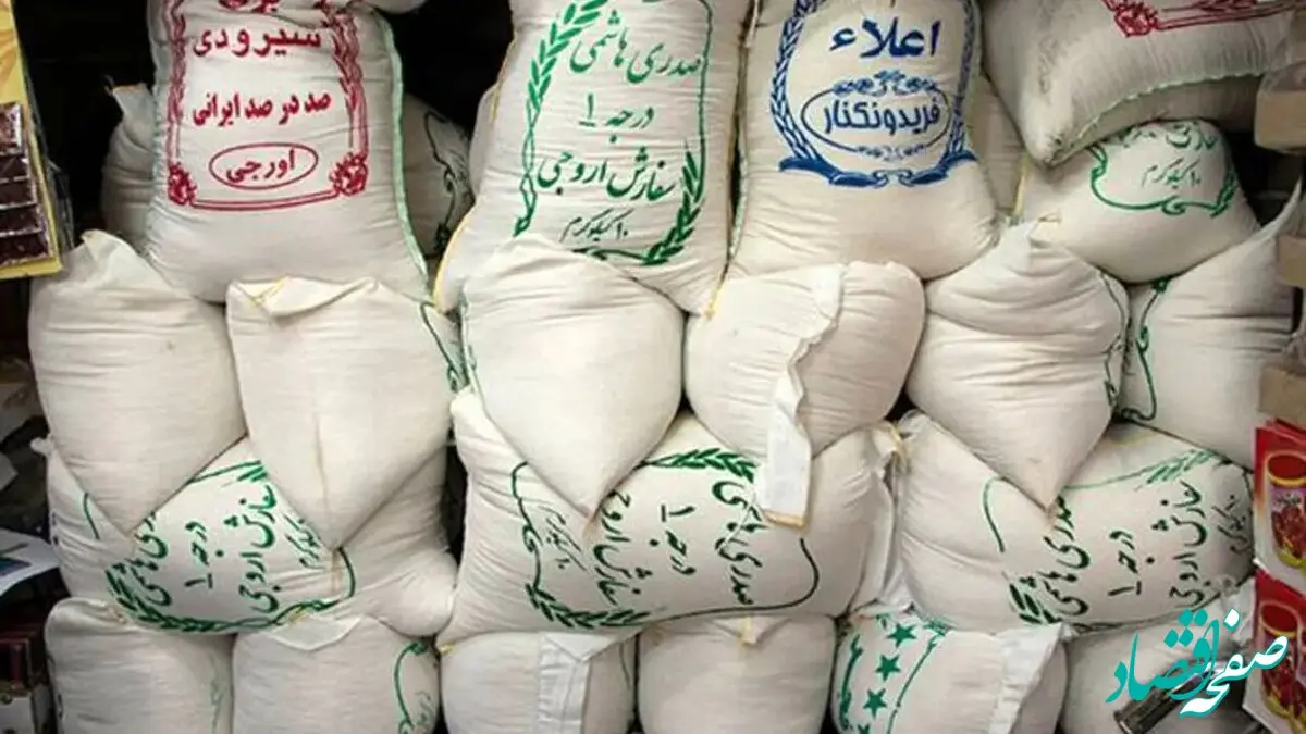  حداکثر قیمت برنج طارمی و هاشمی چقدر شد؟