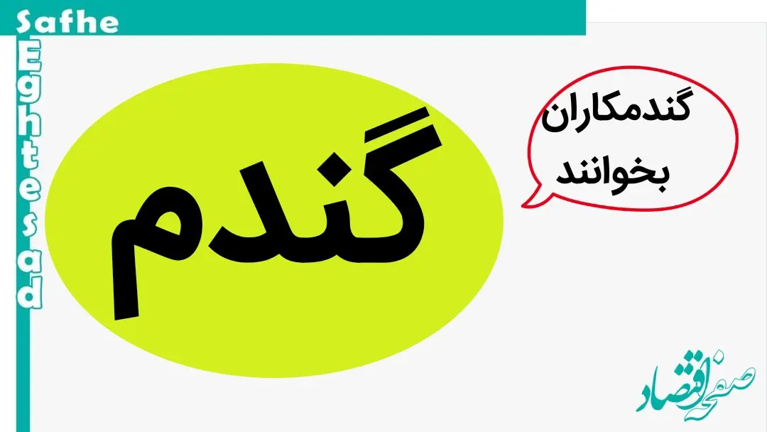 قیمت جدید پیشنهادی نرخ خرید تضمینی گندم ۲۳ هزار تومان است | گندمکاران بخوانند