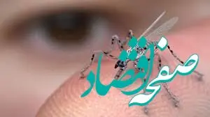 رونمایی از یک پهپاد به اندازه پشه!