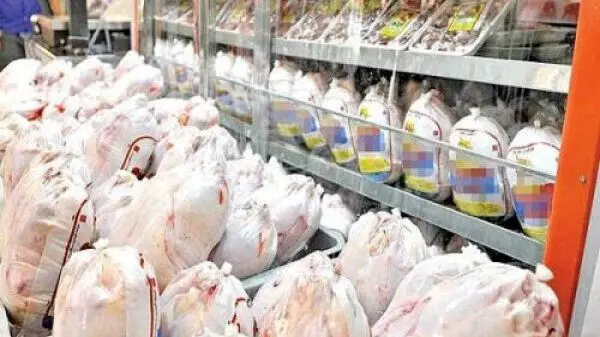 آیا قیمت مرغ گرم به ۱۲۰ تومان نزدیک می‌شود؟ اطلاعات جدید