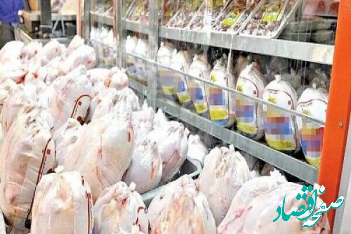 آیا قیمت مرغ گرم به ۱۲۰ تومان نزدیک می‌شود؟ اطلاعات جدید