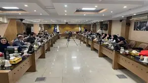آماده‌سازی یک بسته سرمایه‌گذاری معدنی به ارزش ۴۱۰ میلیارد تومان از سوی ایمپاسکو