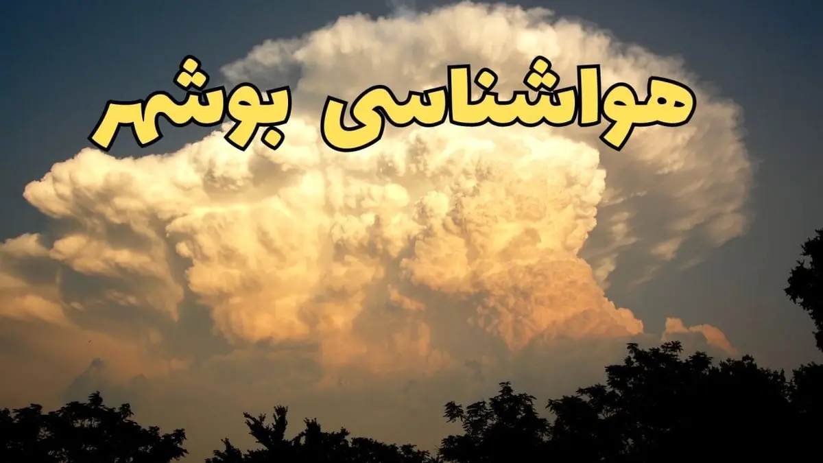پیش بینی وضعیت آب و هوا بوشهر فردا پنجشنبه ۴ اردیبهشت ماه ۱۴۰۴ | پیش بینی هواشناسی بوشهر ۲۴ ساعت آینده