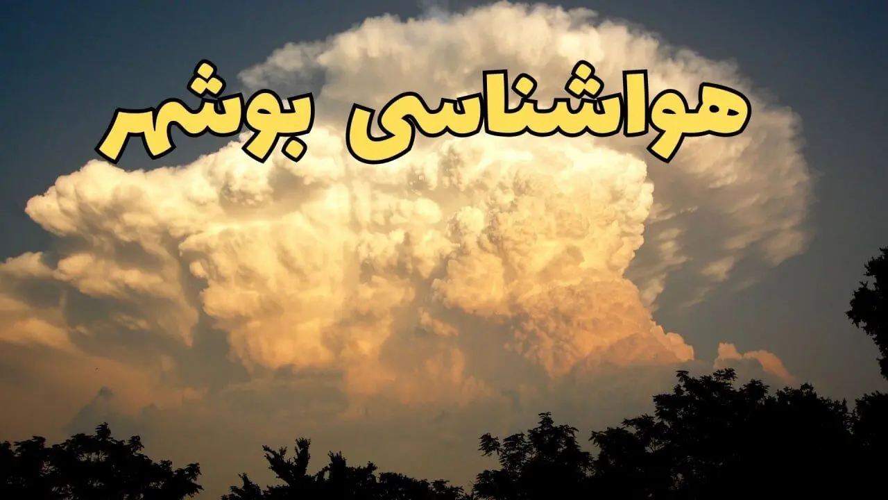 پیش بینی وضعیت آب و هوا بوشهر فردا پنجشنبه ۴ اردیبهشت ماه ۱۴۰۴ | پیش بینی هواشناسی بوشهر ۲۴ ساعت آینده