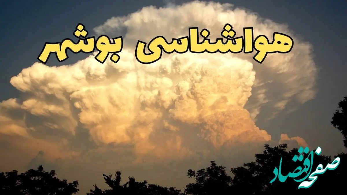 پیش بینی هواشناسی بوشهر فردا | پیش بینی وضعیت آب و هوا بوشهر فردا جمعه ۱۷ اسفند ۱۴۰۳ | هوای بوشهر چگونه خواهد شد؟